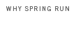 Why Spring Run